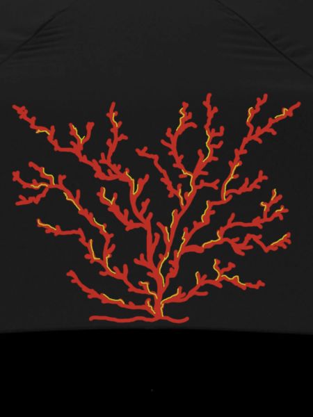 coral