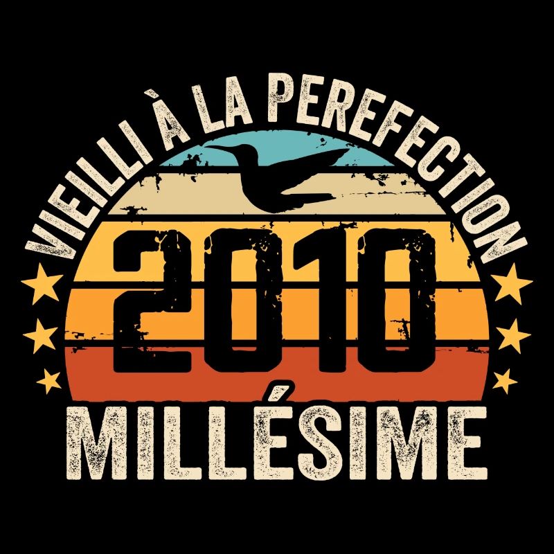Millésime 2010 Cadeau D’anniversaire Rétro 2010