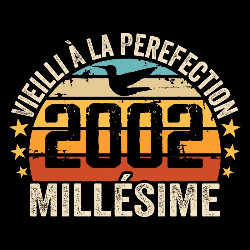 Millésime 2002 Cadeau D’anniversaire Rétro 2002