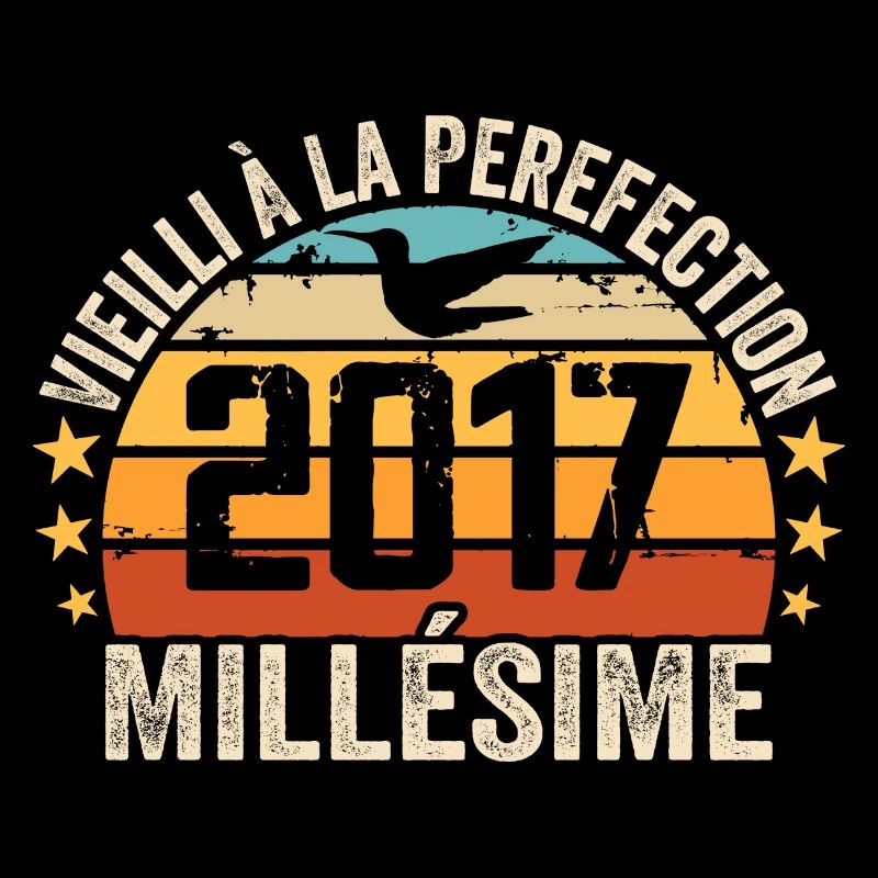 Millésime 2017 Cadeau D’anniversaire Rétro 2017