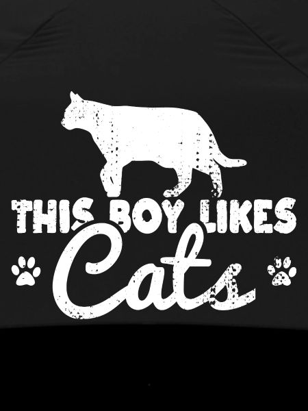 This boy likes cats