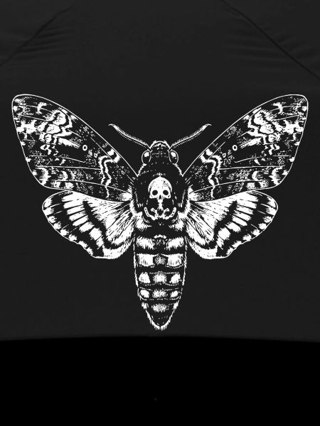 Skull Moth Silhouette Noir