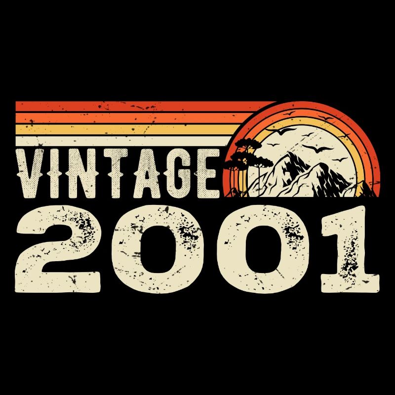 Vintage 2001 Retro 2001 Birthday Gift 2001