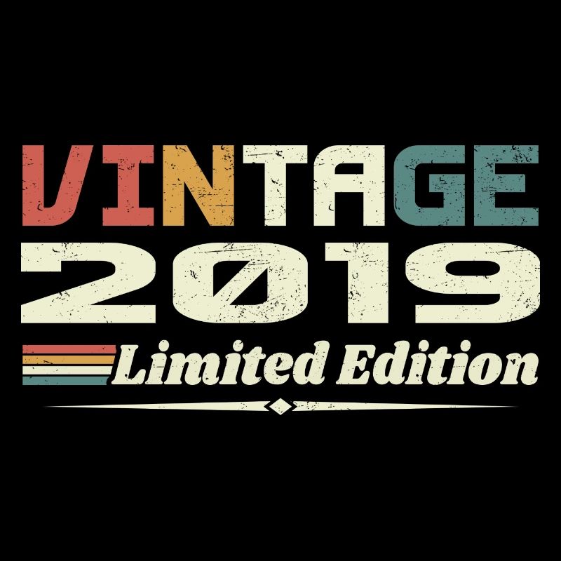 Vintage 2019 Gift 2019 Birthday 2019 Retro