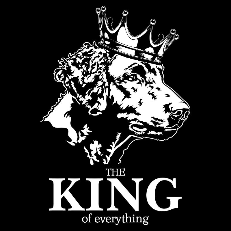 Curly Coated Retriever King everything Wilsigns