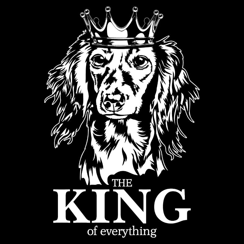 Long-haired Dachshund King of everything Saying Dogs