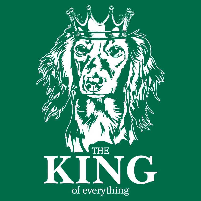 Teckel à poil long Roi de tout Dire Chiens