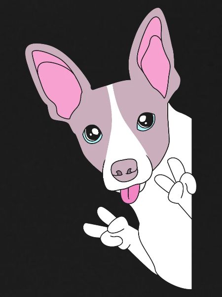 Rat Terrier