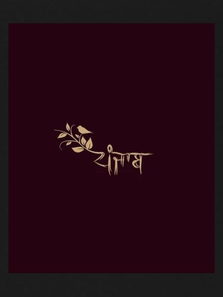 Punajb