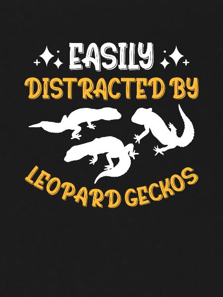 Reptile Lizard Leopard Gecko