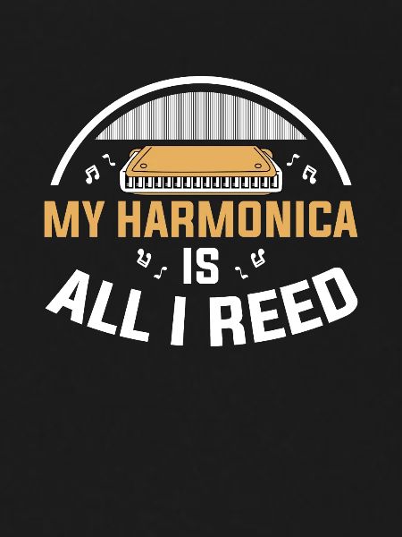 Harmonica player