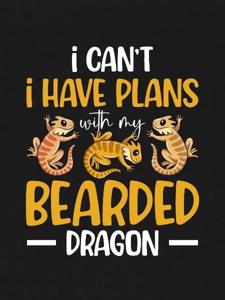 Bearded dragon