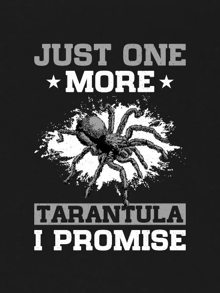 Spider Lovers Tarantula Owners