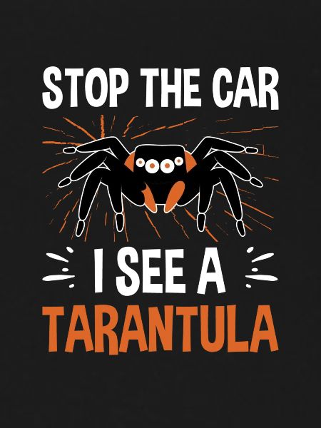 Spider Lovers Tarantula Owners
