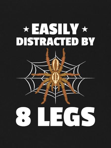 Spider Lovers Tarantula Owners