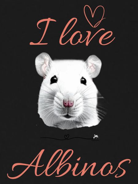 Rattopia Motif Albino Rat