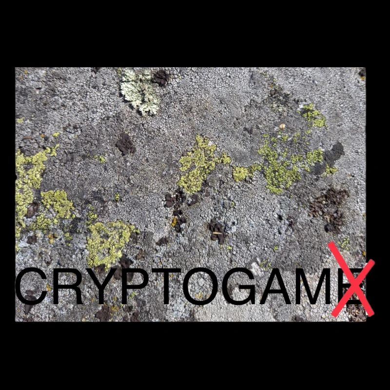 Cryptogam - not a cryptogame