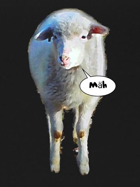 mowing; sheep