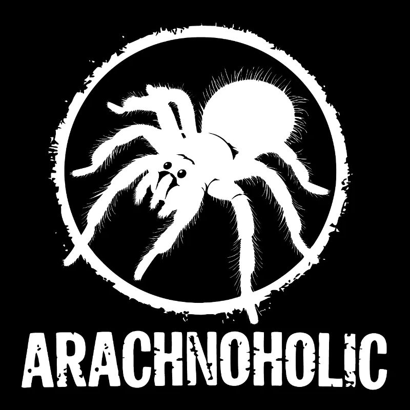 Silhouette de grande tarentule poilue arachnoholic