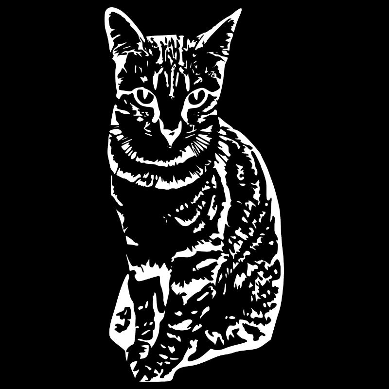 Katze Kätzchen Katzenshirt Geschenk