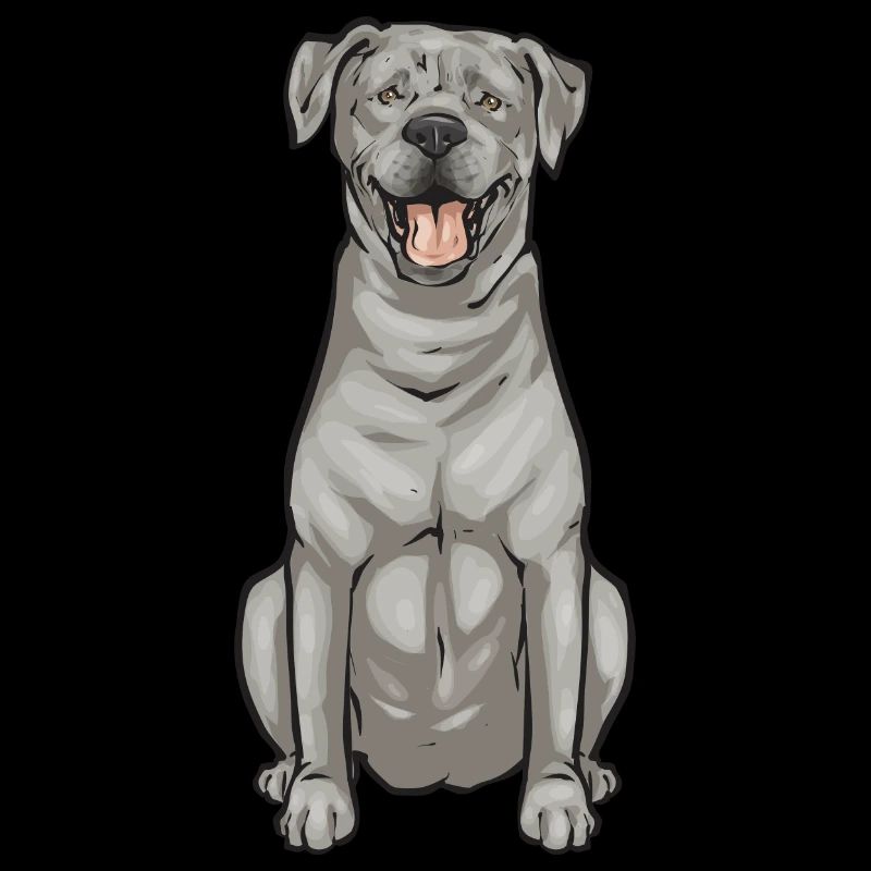 Silver Labrador Retriever Silver Lab