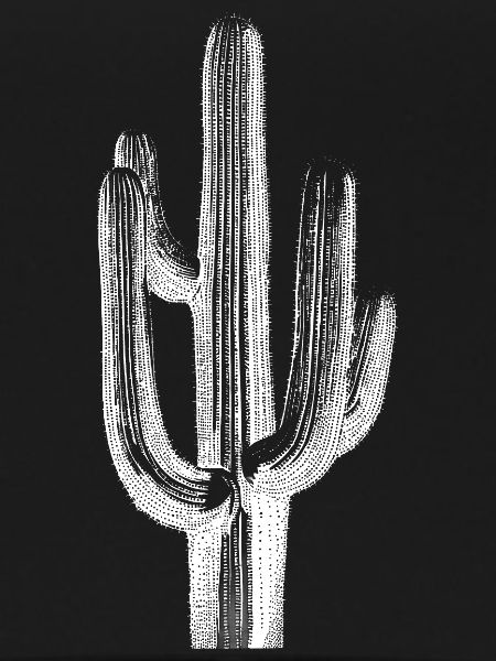 Cactus Brushstroke Sketch