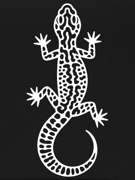 Gecko Linienmuster Weiß
