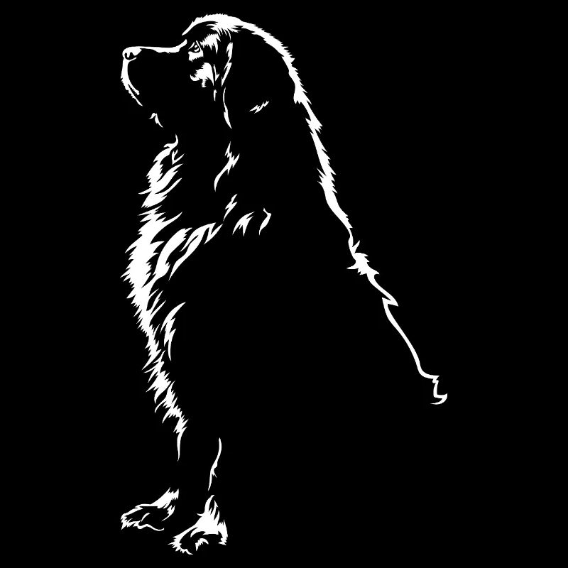 Neufundländer Silhouette Hunde Hund Wilsigns