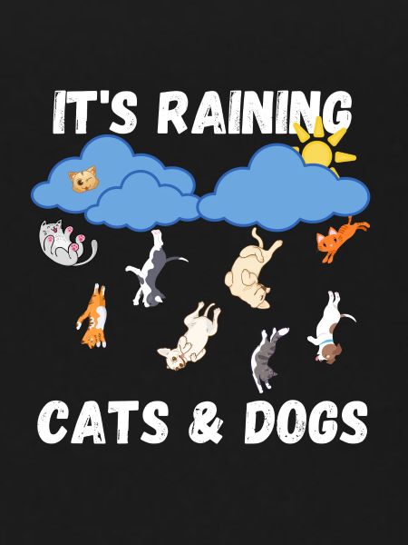 Raining Cats and Dogs