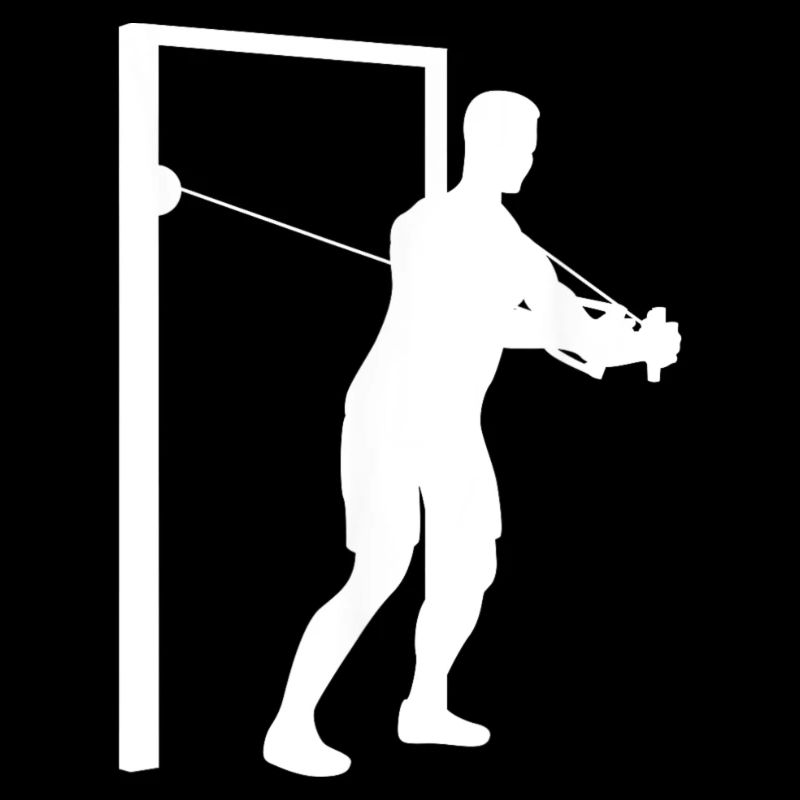 Pull Bodybuilding Strength Training Fitness