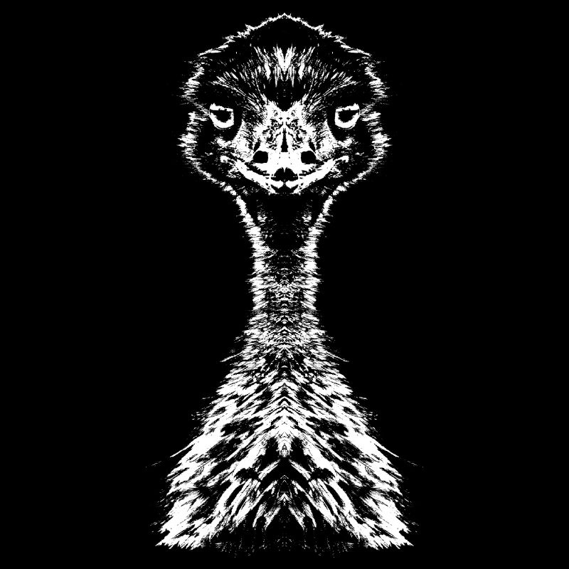 Emu / Ratite / Portrait