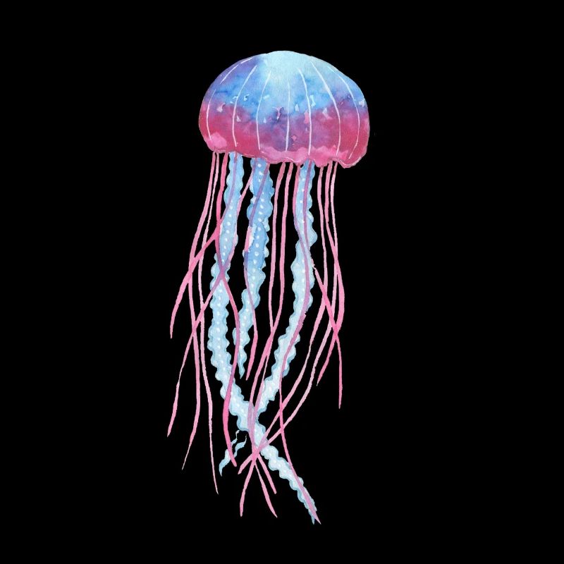 Jellyfish