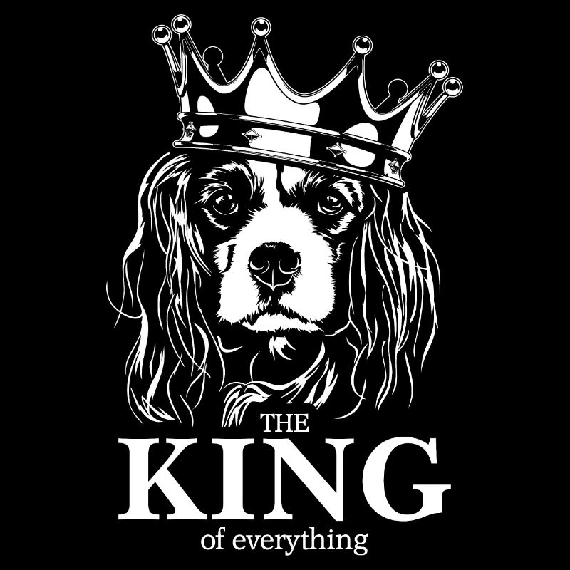 CAVALIER KING CHARLES SPANIEL King Hunde Wilsigns