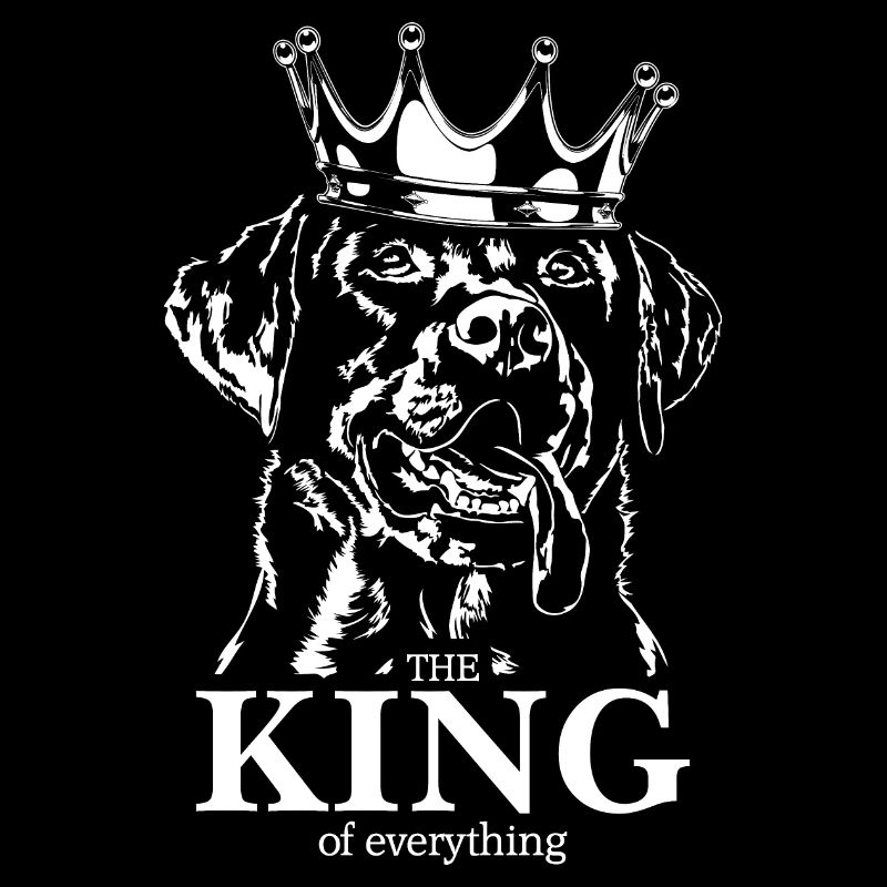 Labrador King of everything Labbi Dogs Wilsigns