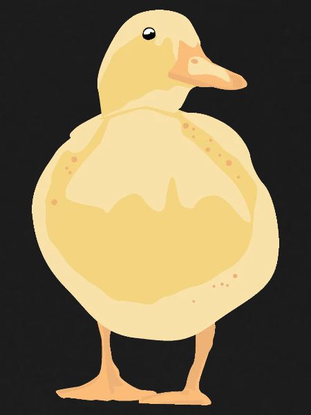 yellow duck