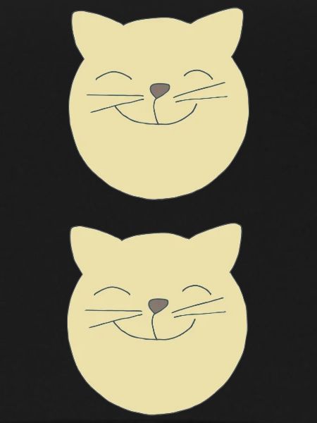 Chats double