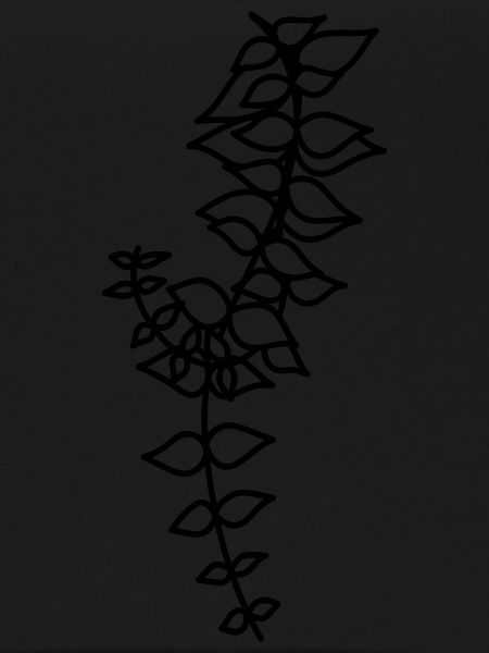 Hanging plant 2