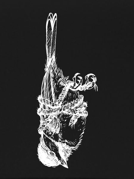 Oiseau