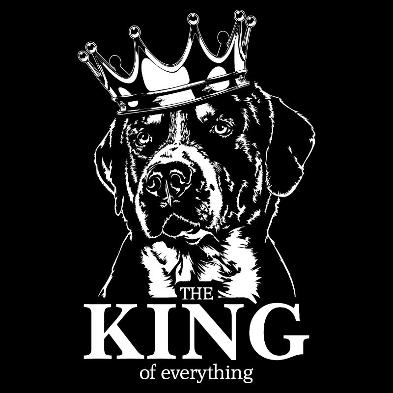 GROSSER SCHWEIZER SENNENHUND King of everything