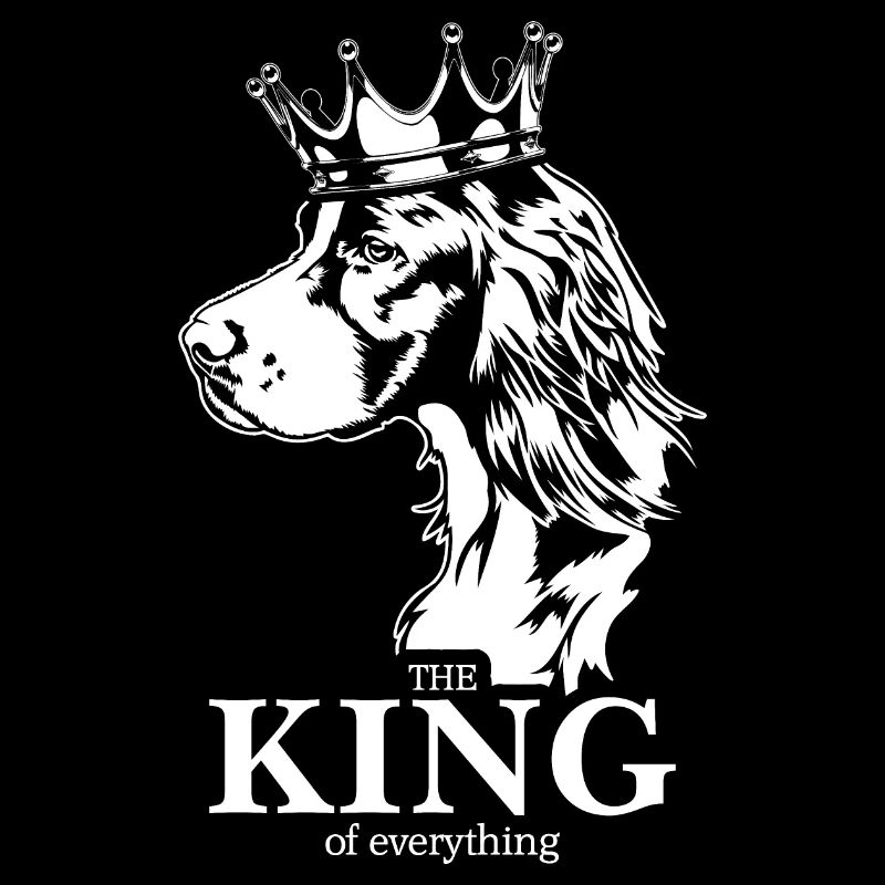 Irish Setter King of everything Hunde Wilsigns