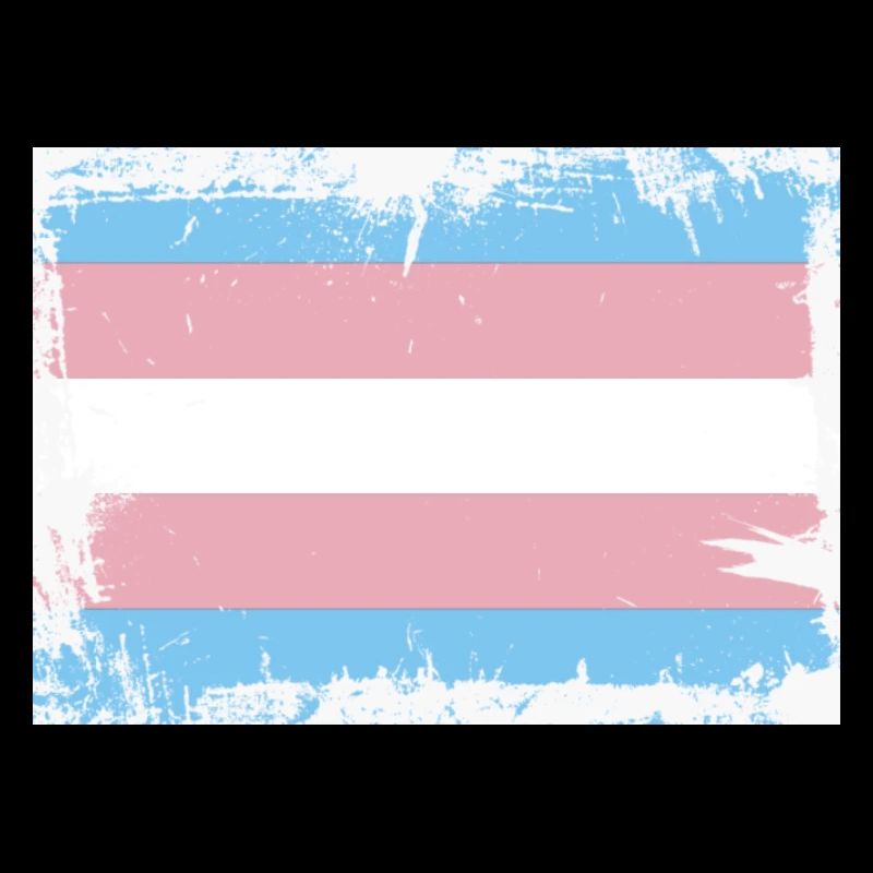 Drapeau de la fierté trans