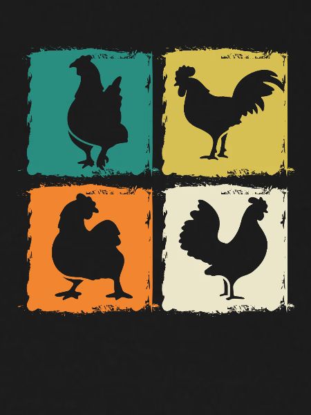 Chicken Rooster