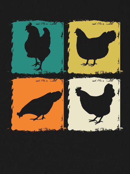 Chickens Hen