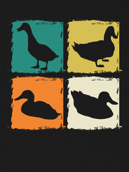 Ducks