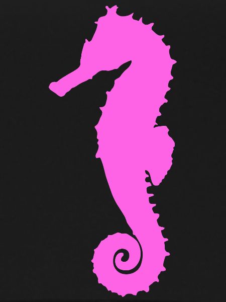 Seepferdchen pink