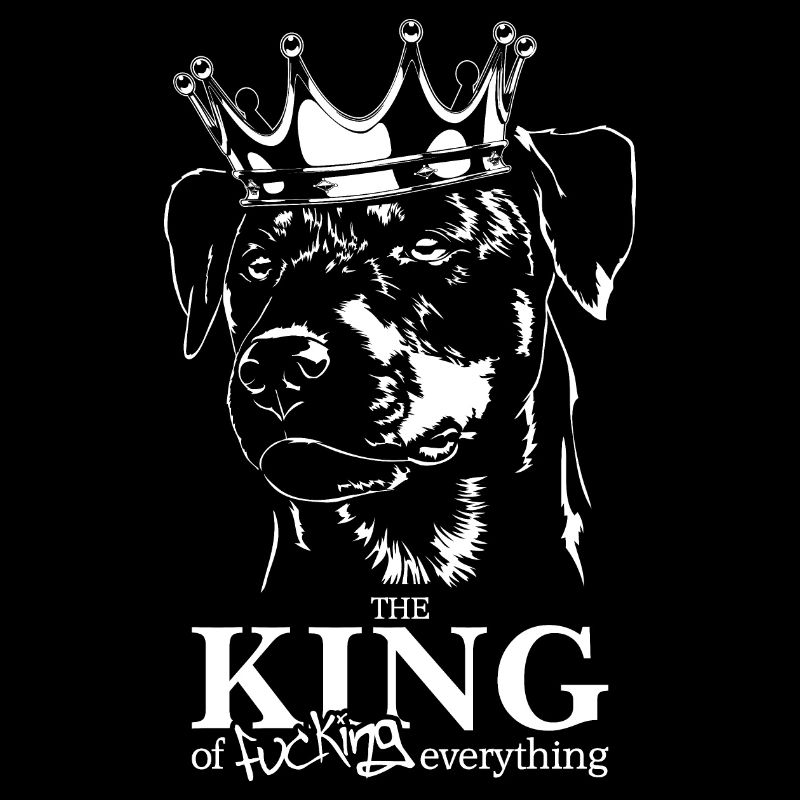 Deutscher Jagdterrier King of everything Wilsigns