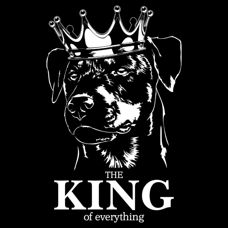 Deutscher Jagdterrier King of everything Wilsigns