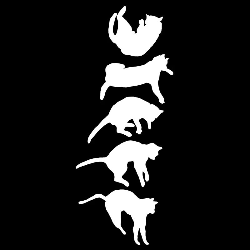 Aufrichtreflex der fallenden Katze