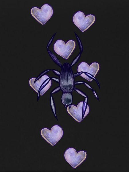 Spider Love
