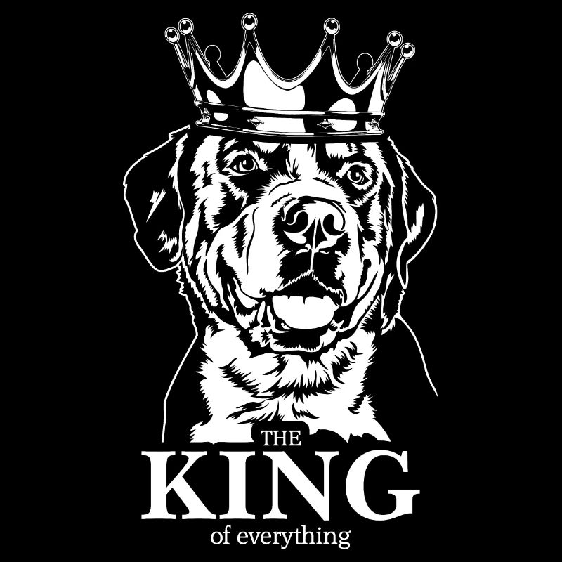 Grosser Schweizer Sennenhund King of everything